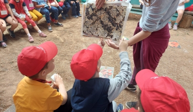 Το «θαύμα» της μέλισσας γνώρισαν τα παιδιά της Α' Δημοτικού!