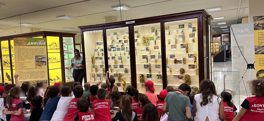 Ανακαλύπτοντας το Μουσείο Φυσικής Ιστορίας Πανεπιστημίου Αθηνών