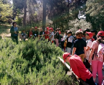 Επίσκεψη στον Βοτανικό Κήπο Διομήδους