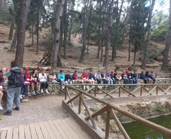 Ανακαλύπτοντας «Τα ίχνη του Δάσους»...